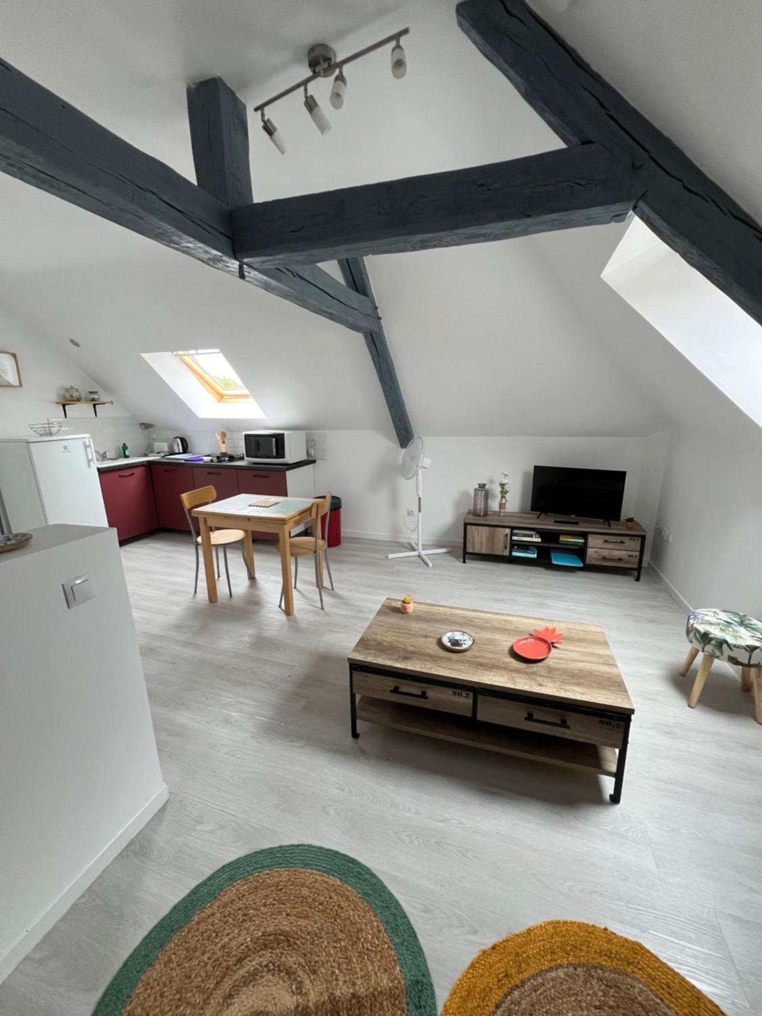 Appartement Avec Cours Saint-Brisson-sur-Loire Экстерьер фото